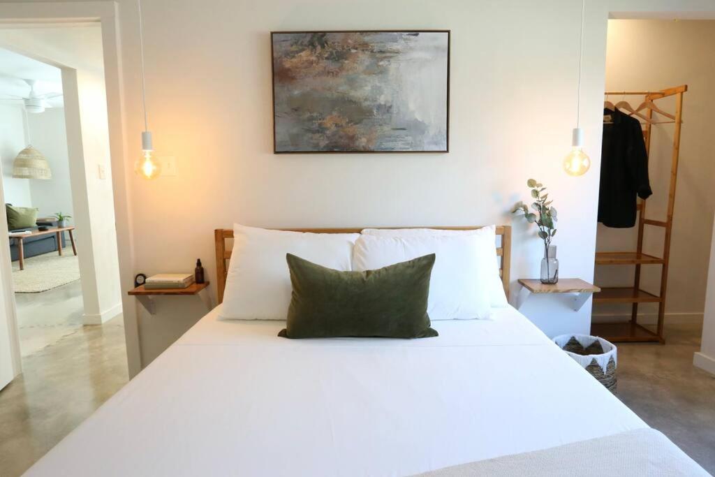 Concrete Suite 5 Min Walk To Shands Uf Γκέινσβιλ Εξωτερικό φωτογραφία