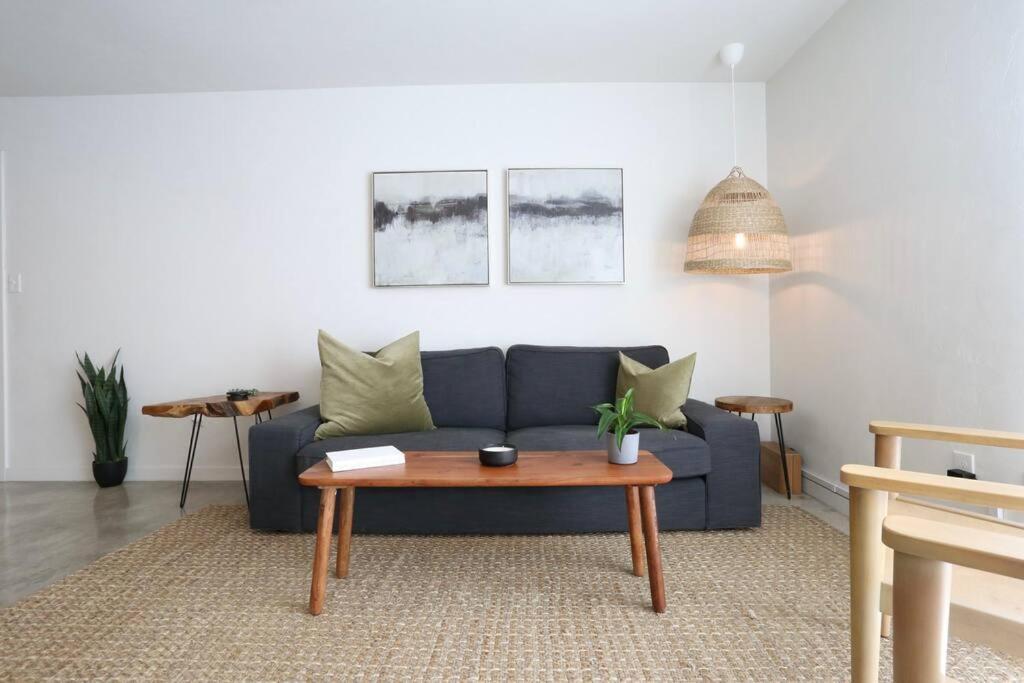 Concrete Suite 5 Min Walk To Shands Uf Γκέινσβιλ Εξωτερικό φωτογραφία